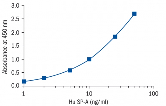 Surfactant Protein A Human Elisa, 人表面活性蛋白A Elisa Kit|Biovendor|上海金畔生物科技有限公司