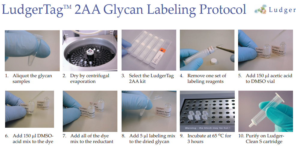 金畔生物提供Ludger 糖基化分析2-AA 多糖标记试剂盒(2-aminobenzoic acid) Glycan Labeling Kit。