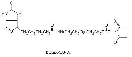 Laysan 生物素-PEG-琥珀酰亚胺碳酸酯 Biotin-PEG-SC