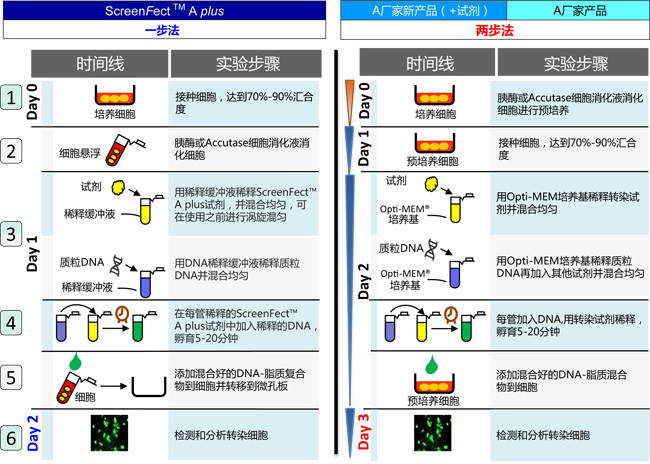 DNA & siRNA转染试剂                  ScreenFect™ A plus