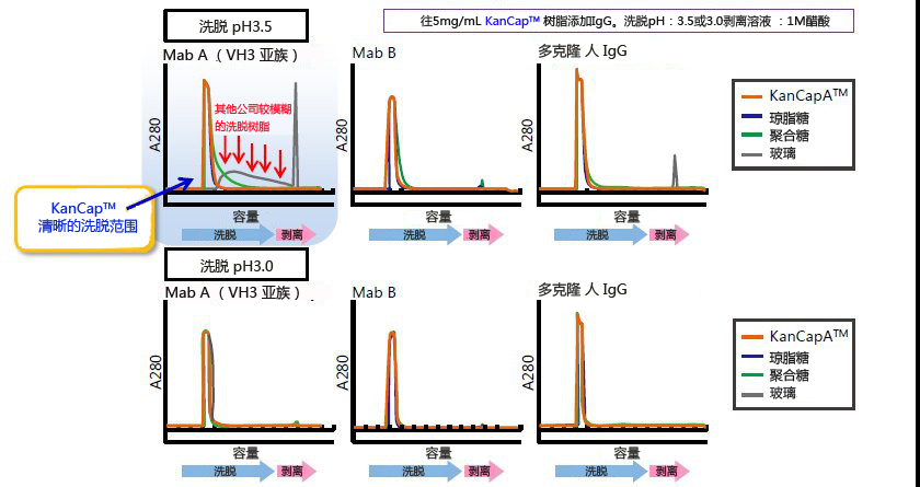 KANEKA KanCapA&trade; 新标准 抗体纯化树脂-