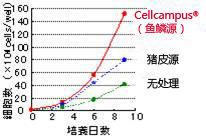 细胞培养Wako和光细胞培养Cellcampus ® 鳞源I型胶原-细胞培养