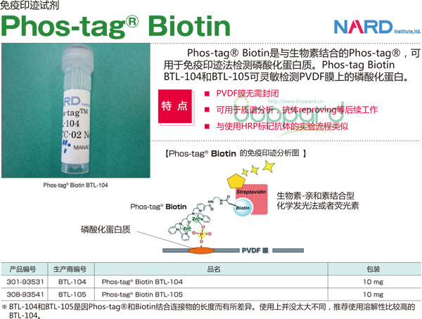 30193531磷酸化蛋白检测 Phostag Biotin BTL104-磷酸化蛋白提取