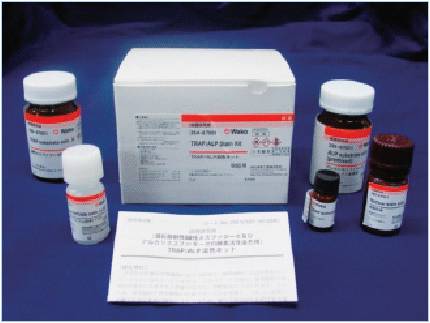 29467001骨组织染色——TRAP/ALP染色试剂盒-试剂盒