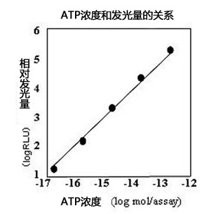 ATP荧光检测仪C-110                  Lumitester C-110