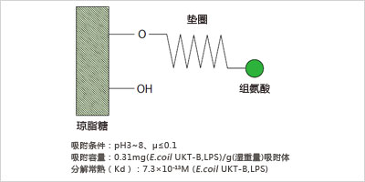 鲎试剂LAL PS Single（适用于动态比浊法）                  Limulus PS Single tests Wako