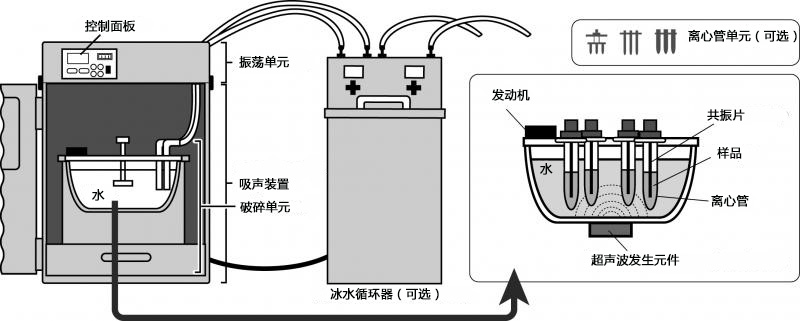 BIORUPTOR® II                  封闭系统式超声波细胞破碎仪