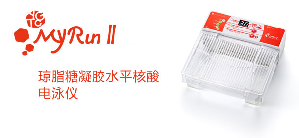 电泳仪                   iMyRun II