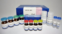 ACE抑制活性检测试剂盒                  ACE Kit-WST
