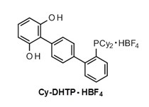 四氟硼酸2''-(二环己基膦)-对三联苯-2,6-二醇                  2''-(Dicyclohexylphosphino)-p-terphenyl-2,6-diol Tetrafluoroborate