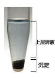 ISOGEN II                  总RNA及小RNA提取试剂