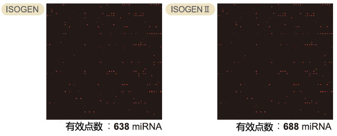 ISOGEN II                  总RNA及小RNA提取试剂