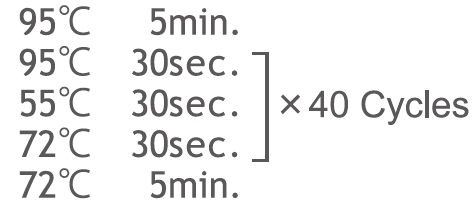 ISOGEN II                  总RNA及小RNA提取试剂