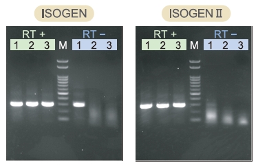 ISOGEN II                  总RNA及小RNA提取试剂