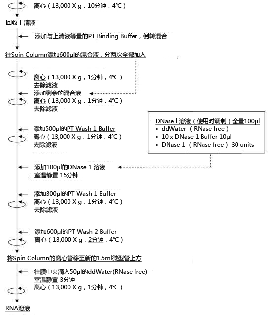 ISOSPIN Cell & Tissue RNA                  从动物细胞和组织提取RNA试剂盒