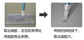 长单链DNA（ssDNA）制备试剂盒                  Long ssDNA Preparation Kit (LsODN Preparation Kit)