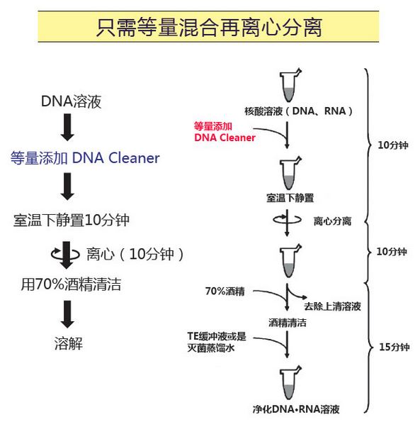 核酸清除剂                   DNA Cleaner