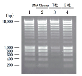 核酸清除剂                   DNA Cleaner