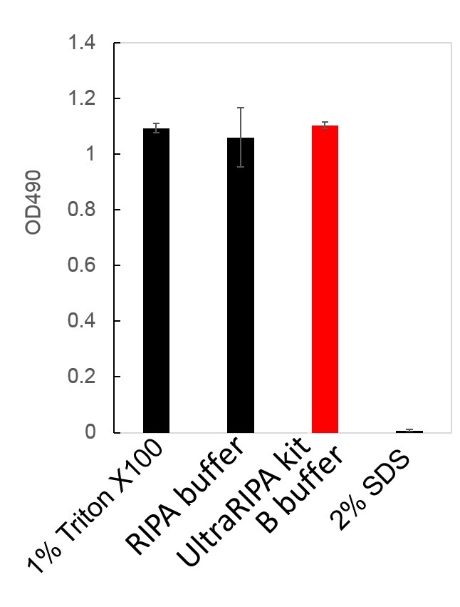 UltraRIPA 脂筏提取缓冲液套装                  UltraRIPA kit for Lipid Raft