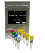 无细胞蛋白质合成试剂盒                  Transdirect insect cell
