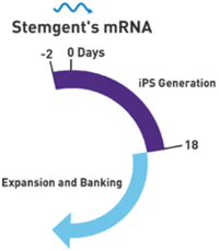 microRNA增强试剂盒                  microRNA Booster Kit