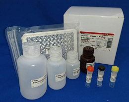 人ES/iPS细胞检测试剂盒                  Human ES/iPS Cell Monitoring Kit