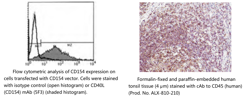 间质干细胞标记物                  Mesenchymal Stem Cell Markers