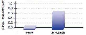 人iPS细胞来源的多巴胺神经细胞 ,人神经细胞疾病模型                  ReproNeuro DA