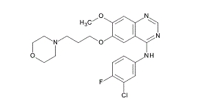 EGFR酪氨酸激酶抑制剂——吉非替尼                  癌症研究相关试剂