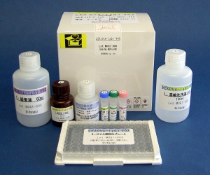 小鼠卵清蛋白特异性免疫球蛋白G1（OVA-IgG1）ELISA试剂盒                  Lbis OVA-IgG1 Mouse