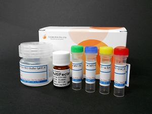 α-突触核蛋白聚集检测试剂盒                  (ALPHA)-Synuclein Aggregation Assay Kit