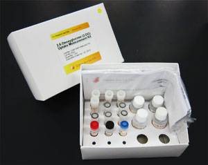 2-脱氧葡萄糖(2DG)摄入检测试剂盒                  2-Deoxyglucose (2DG) Uptake Measurement Kit