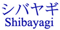 Shibayagi 大鼠胰岛素 ELISA试剂盒（T型）                  Lbis® Insulin-Rat-T