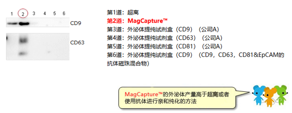 MagCapture™ 外泌体提取试剂盒                  MagCapture™ Exosome Isolation Kit PS