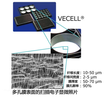 VECELL® 3D细胞培养板                  VECELL® 3D Cell Culture Plate