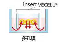 VECELL® 3D细胞培养板                  VECELL® 3D Cell Culture Plate