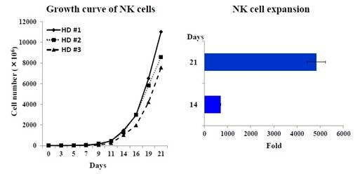 BINKIT® NK细胞扩增套装（外周血单核细胞来源）                  BINKIT® for NK cells expansion from PBMCs