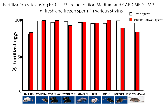 小鼠精子冻存液和体外受精培养基                  FERTIUP ®  &CARD MEDIUM ®