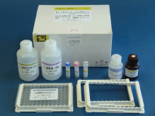 ELISA Training KIT