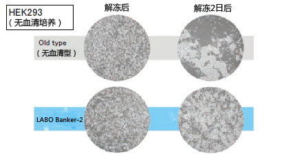 LABO Banker-2（无血清型）细胞冻存液JuJi-Field公司的最新作-WAKO和光纯药