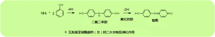 实验动物生化检测LabAssay™ 系列试剂盒-WAKO和光纯药