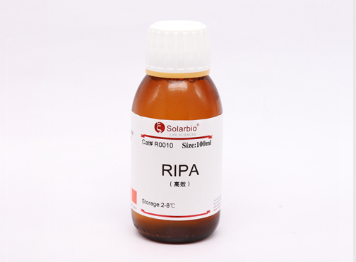 RIPA裂解液的配制方法详细说明-技术文章