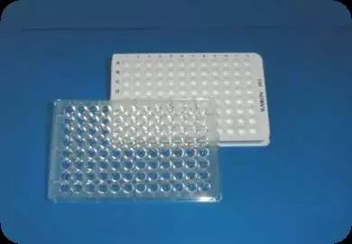 使用PrimeSurface®低吸附耗材形成细胞球体 -价格-厂家-供应商-WAKO和光纯药（和光纯药工业株式会社）