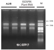 ISOSPIN Plant RNA（从植物组织提取RNA试剂盒）-价格-厂家-供应商-WAKO和光纯药（和光纯药工业株式会社）