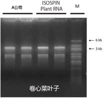 ISOSPIN Plant RNA（从植物组织提取RNA试剂盒）-价格-厂家-供应商-WAKO和光纯药（和光纯药工业株式会社）