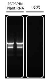 ISOSPIN Plant RNA（从植物组织提取RNA试剂盒）-价格-厂家-供应商-WAKO和光纯药（和光纯药工业株式会社）