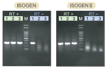 ISOGEN II（总RNA及小RNA提取试剂）-价格-厂家-供应商-WAKO和光纯药（和光纯药工业株式会社）