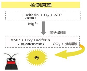 ATP荧光检测仪C-110-价格-厂家-供应商-WAKO和光纯药（和光纯药工业株式会社）