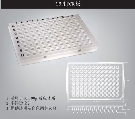 美国Aygen适配罗氏LightCycler480的PCR板PCR-384-LC480-W-PCR管|PCR板