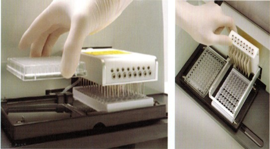 96针洗板机DN-96-普朗 酶标仪洗板机